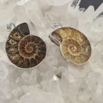 Ammonit Anhänger