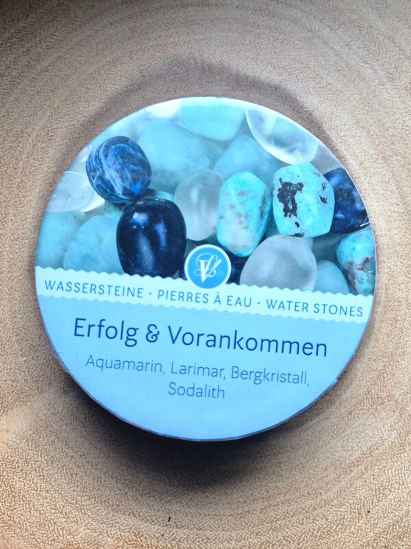 Wassersteine Erfolg & Vorankommen – kaufen